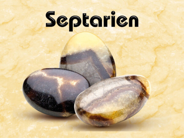 Septarien – Bild 2