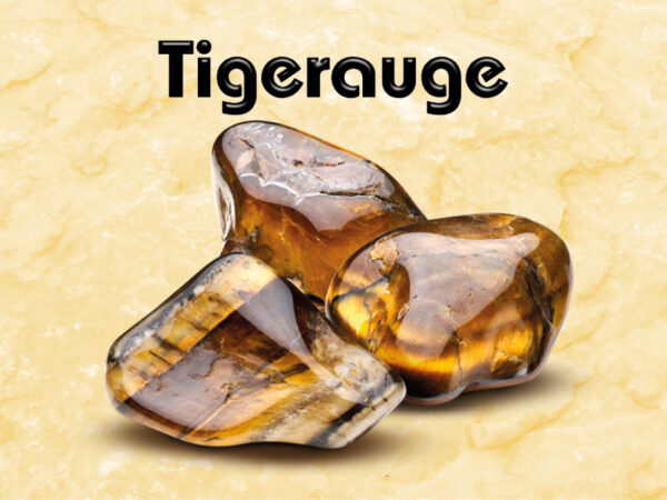 Tigerauge – Bild 2