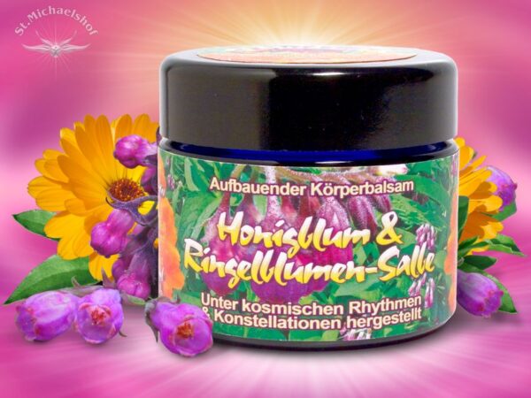 Honigblum & Ringelblumen-Salbe – Bild 2