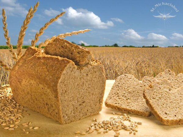Bio Dinkelbrot
