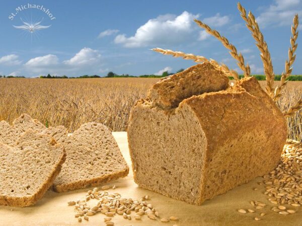 Bio Dinkelbrot – Bild 2