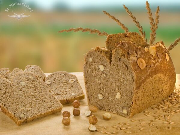 Bio Haselnuss Brot – Bild 2