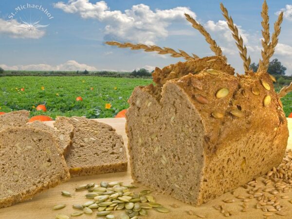 Bio Kürbiskern Brot – Bild 2