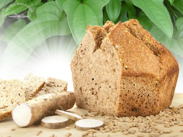 Bio Lichtäther Kraftpflanzen Brot – Bild 2