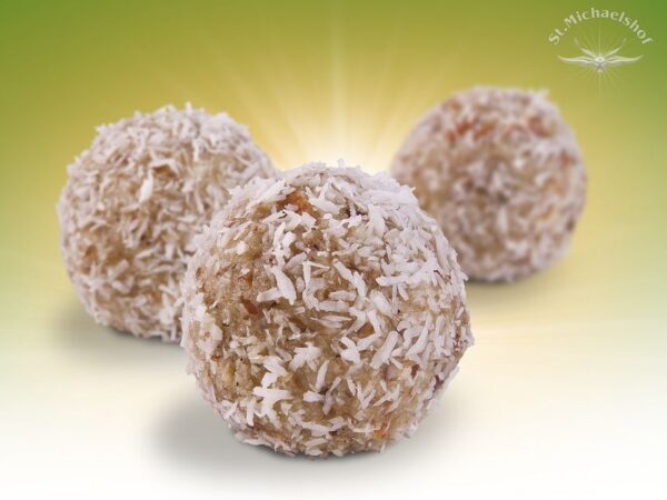 Bio Energiebällchen "Fuji"