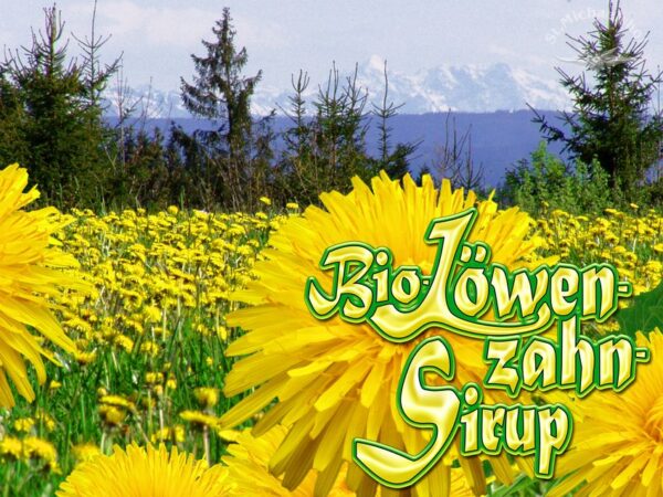 Bio Löwenzahn-Sirup