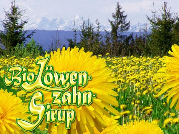 Bio Löwenzahn-Sirup – Bild 2