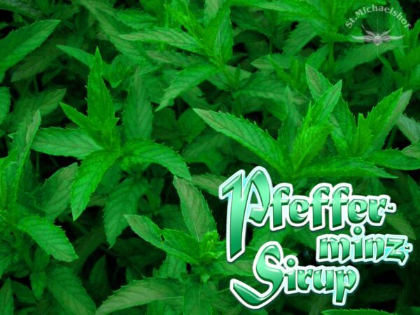 Bio Pfefferminz-Sirup