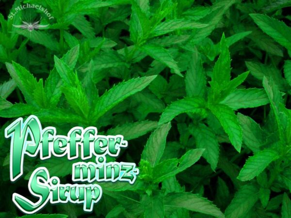 Bio Pfefferminz-Sirup – Bild 2