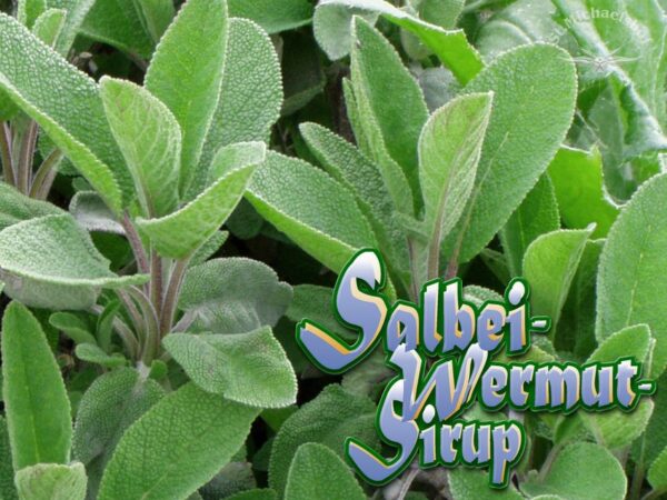 Bio Salbei-Wermut-Sirup "Zart-Bitterino"