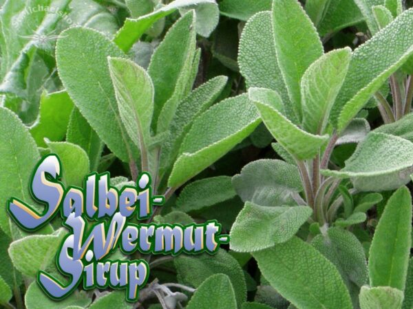 Bio Salbei-Wermut-Sirup "Zart-Bitterino" – Bild 2