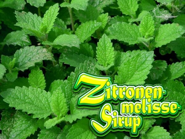 Bio Zitronenmelisse-Sirup