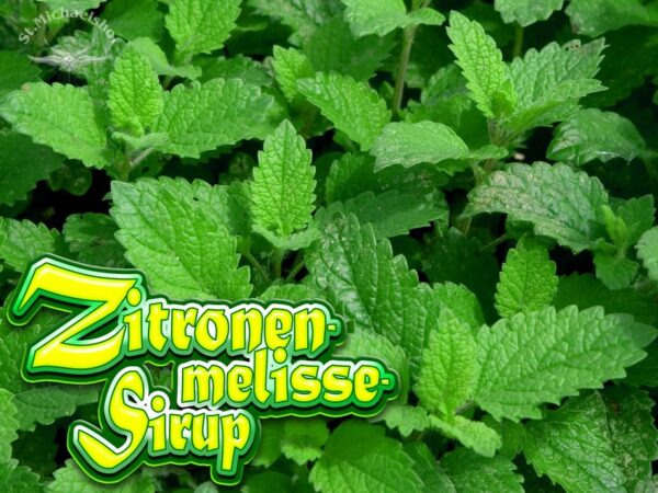 Bio Zitronenmelisse-Sirup – Bild 2