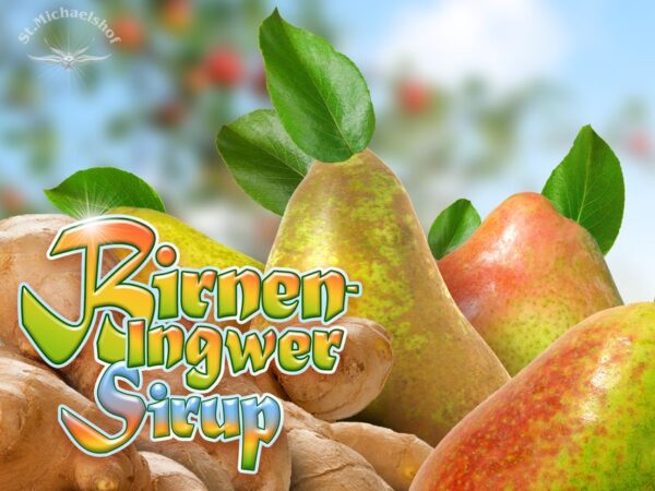 Bio Birnen-Ingwer Sirup – Bild 2