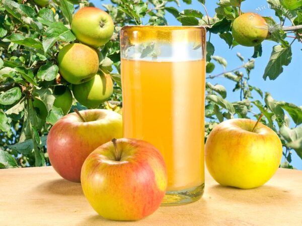 Bio Apfelsaft