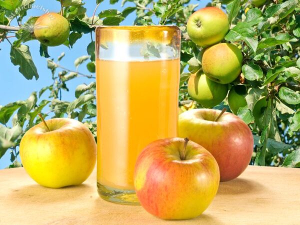 Bio Apfelsaft – Bild 2