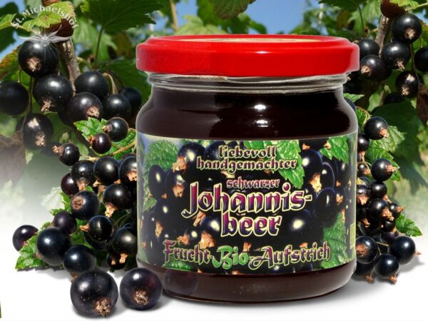 Bio Schwarzer Johannisbeer Frucht-Aufstrich – Bild 2