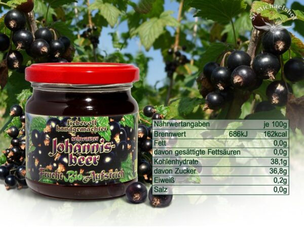 Bio Schwarzer Johannisbeer Frucht-Aufstrich – Bild 3