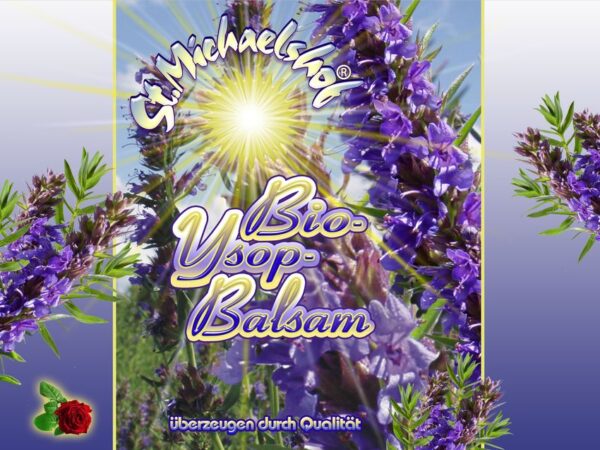 Bio-Ysop-Balsam – Bild 2