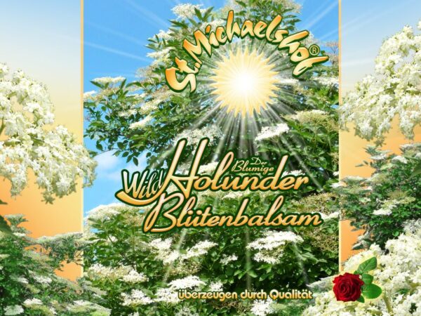 Wild Holunder Blütenbalsam