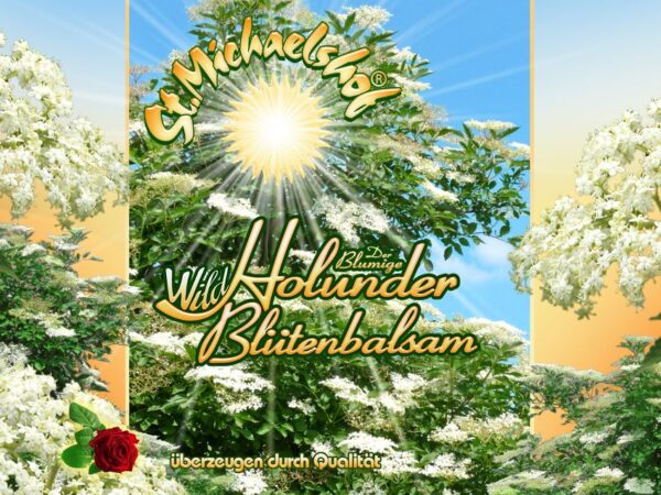 Wild Holunder Blütenbalsam – Bild 2