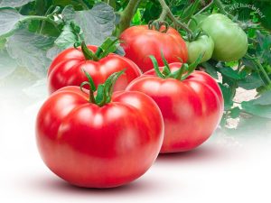 Fleischtomate