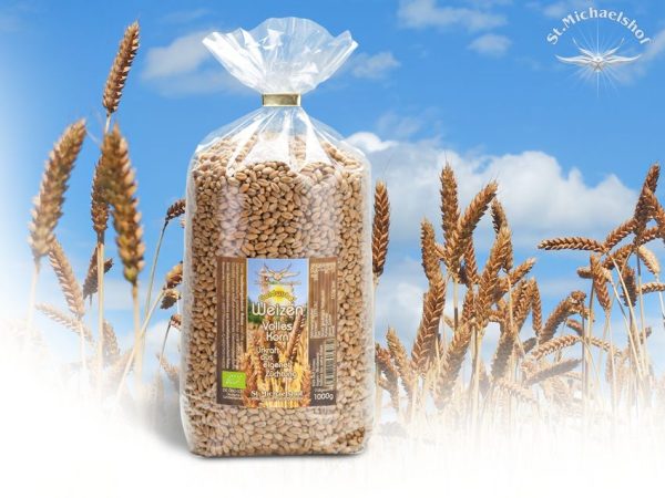 Bio Goldwirbel Weizen Volles Korn