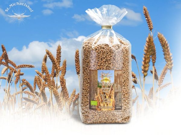 Bio Goldwirbel Weizen Volles Korn – Bild 2