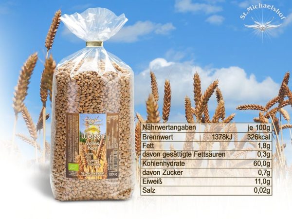 Bio Goldwirbel Weizen Volles Korn – Bild 4
