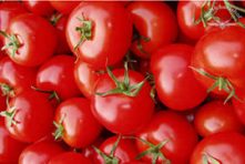 Tomaten