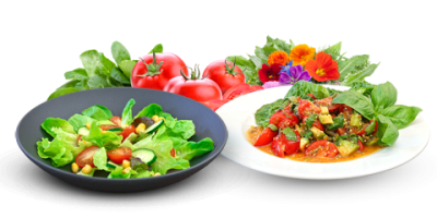 rezepte-salate