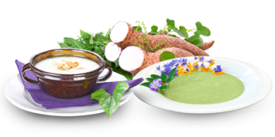 rezepte-suppen
